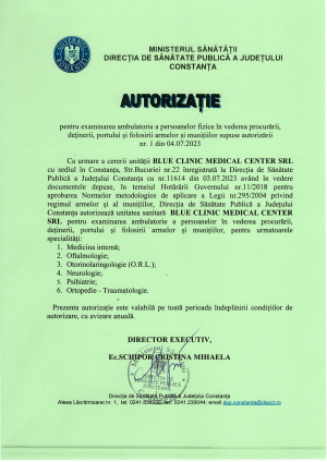 AUTORIZATIE DSP PORT ARMA